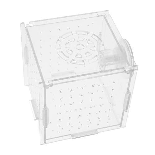 Acrylic Fish Breeding Box for Aquarium Isolation Tank Hydroponic Separator with Suction Cups
