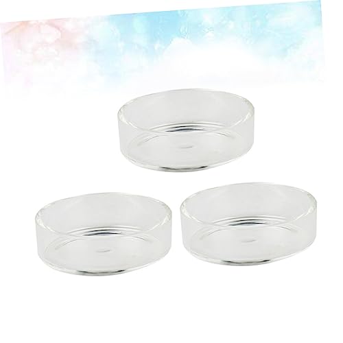 5pcs Crystal Shrimp Feeder Dish Round Shrimp Food Basin Aquarium Fish Feeder Feed Dish Tank Bowl - size: Size 2