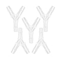 Plastic Barb Equal Y Tee 3/8" hose ID Polypropylene pipe connectors Plastic Joint Splicer Mender Adapter Union Boat Water Air Aquarium O2 Fuel (pack of 5) - size: 3/8 Inch, style: Pack of 5