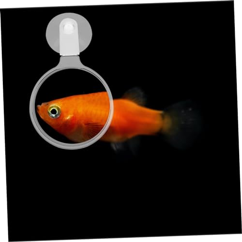 ibasenice Acrylic Aquarium Magnifier with Strong Suction Cup for Fish Tank Viewing Small Animal and Plant Observation Easy Installation Stable Attachment for Betta Fish