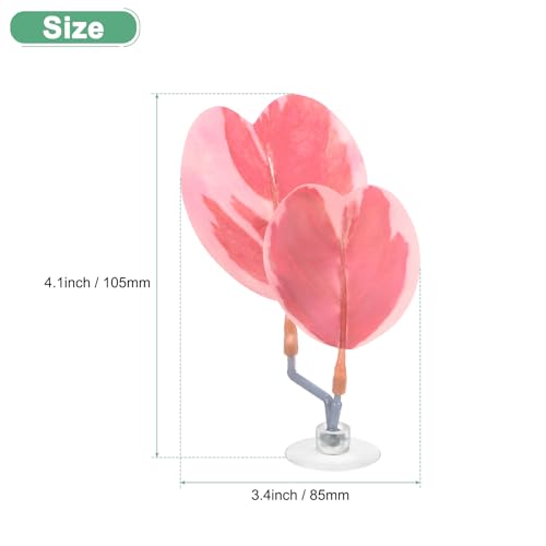 M METERXITY 1-Pack Betta Fish Leaf Pad, Hammock Plant Leaf Pad, Realistic Resting Fish Rest Bed for Fish Tank Decorations/Aquarium Accessories/Spawning Grounds/Breeding [Pink, Heart-Shaped] - color: Pink