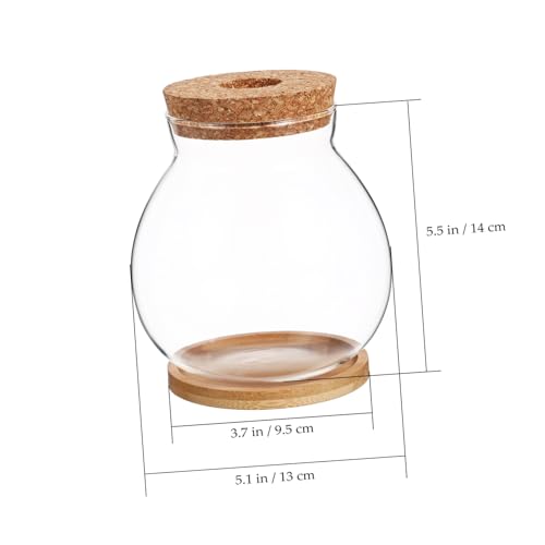 BESPORTBLE Desktop Hydroponic Glass Fish Tank with Lid and Bamboo Mat Transparent Betta Fish Bowl for Home Decor and Aquatic Plants for Desktop Bookshelf