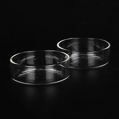Kisangel 5pcs Round Shrimp Food Basin Crystal Feeding Dish for Shrimp Fish and Reptiles Durable Aquarium Ornament with Transparent Design for Enhanced Tank Aesthetics - size: Size 2