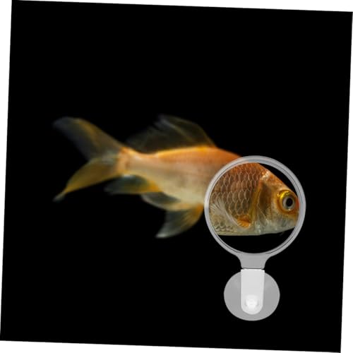 Beaupretty 4pcs Acrylic Glass with Cup for Fish Tank for Betta Fish Microlandscapes Spiders Animals Observation