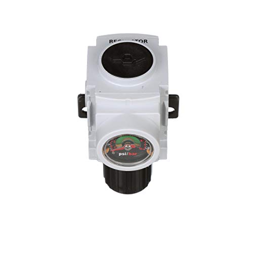 PneumaticPlus PPR2-N02BG Miniature Compressed Air Pressure Regulator 1/4" NPT - Embedded Gauge, Bracket - size: 1/4" NPT