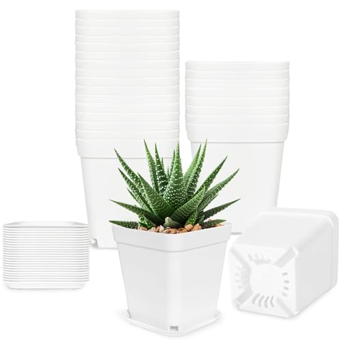 Anyumocz 24Pcs 3" Square Plastic Plant Pots,White Nursery Pots with Saucers,Seedling Nursery Transplanting Planter Container for Plants,Garden,Flower,Home,Office,Balcony Decor,Indoor,Outdoor - color: White