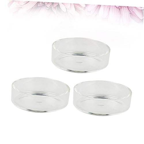 BESPORTBLE 3pcs Crystal Shrimp Feeding Bowl Durable Transparent Glass Shrimp Food Dish for Aquariums for Fish and Reptiles Enhances Tank Aesthetics