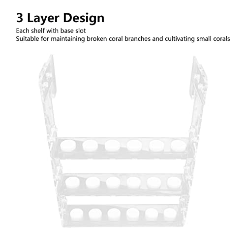 Frag Rack Clear Acrylic Vertical 3Tier Hanging Fragment Holder for Saltwater Reef Aquarium Fish Tank with Base Platforms