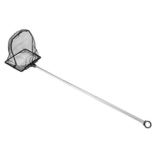 Lpraer Aquarium Fish Net with Extendable Stainless Steel Long Handle Fine Mesh Net for Fish Tank - size: Medium