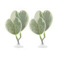 Betta Fish Bed, Betta Leaf Bed, Plastic Betta Hammock, Betta Hammock Pad W/Suction Cup, Betta Heart-Shaped Leaf Bed Aquarium Decor, Light Green 2Pcs