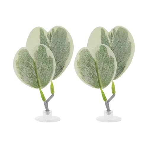 Betta Fish Bed, Betta Leaf Bed, Plastic Betta Hammock, Betta Hammock Pad W/Suction Cup, Betta Heart-Shaped Leaf Bed Aquarium Decor, Light Green 2Pcs