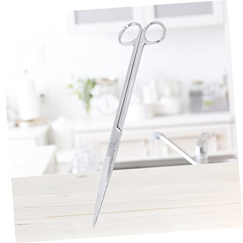 Long Handle Straight Scissors Stainless Steel Aquatic Weed Shears Heavy Duty Garden Scissors for Aquarium Plant Maintenance