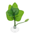 Betta Fish Leaf, Natural Habitat Simulation for Betta Spawnings Grounds, Betta Spawnings Leaves, Resting Bed, Large Maple Small Leaves, Green
