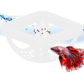 Floating Betta Hammock and Feeding Ring, Aquarium Beta Hideout, Cave, Bed, Resting Spot, Betta Fish Toys and Decor - color: Square-White