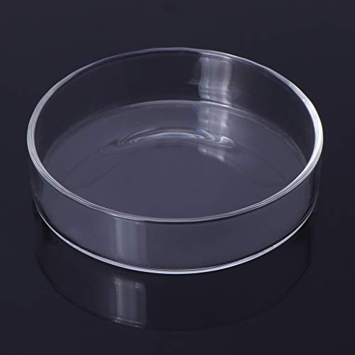 Shrimp Feeding Dish Clear Glass Bowls 3.9" 5" 2" 2.4" Round Tray Fish Tanks Aquarium Feeders Food B Cup Dish - size: XS