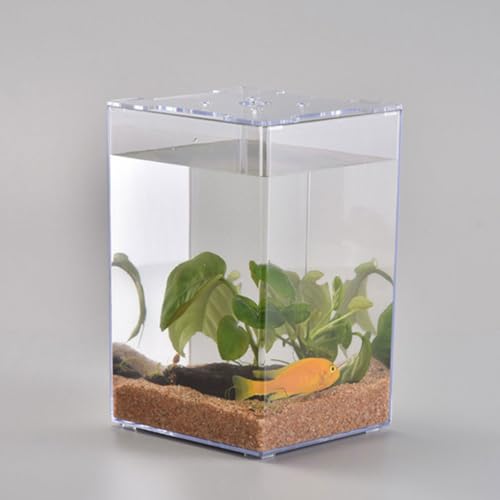 Ipetboom Small Acrylic Fish Tank 7.5 Inch Mini Desktop Aquarium Fish Box for Betta Home Office Decor