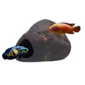 Plecoceramics Cichlid Stone Decoration - Aquarium cave for Cichlids, Betta, Small Fish - Fish Tank Hideway Decor - Betta Toys Hideout Stones House (Magma Stone Large)