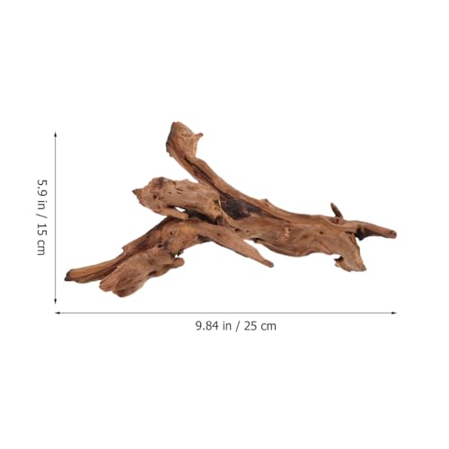 POPETPOP Natural Driftwood for Aquarium Decor - 9.8×5.9" Unique Wood Branch Fish Tank Decorations & Reptile Tank Accessories, Drift Wood Log for Leopard Gecko Terrarium Accessories