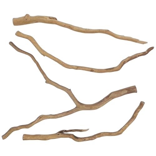 kathson Natural Driftwood for Aquarium, Red Moor Driftwood Mix 12''-16'' Long Driftwood for Decorations Aquarium Driftwood Assorted Shapes Natural Aquarium Decor Driftwood(100g,Delicate Branches)