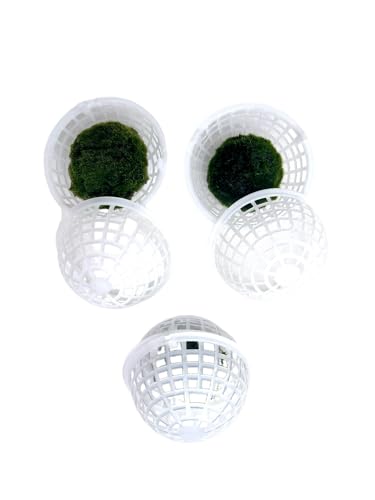 12 Pcs 80mm Extra Large Clear Sphere Moss Ball Holders, Plastic Decorative Balls for Aquarium Shrimp Tank Ornament