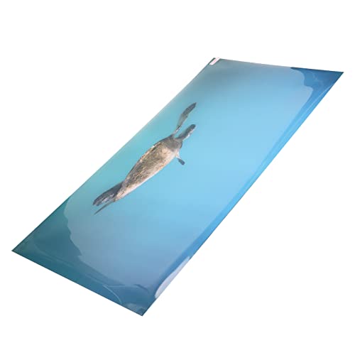 Aquarium Background Paper PVC Self Adhesive 3D Effect Fish Tank Decoration Poster, HD Lifelike Deep Sea Animal Design, Non Sticker for Freshwater (61 * 30CM) - size: 61*30CM