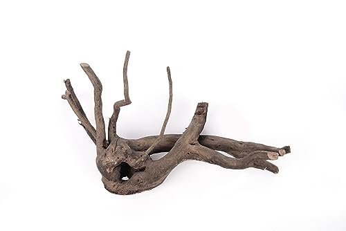 LANDEN Natural Spider Wood Aquarium Decorative Fish Tank Decorations, Driftwood Branches (12-16 Inch, XL) 4 Pcs - size: XL(12~16 inches, 30-40cm), 4pcs