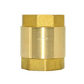 DAN SPEED Brass Check Valve,Female Thread Spring Check Valve,One Way Horizontal Check Valves for Backflow Prevention,Well, Pump, Tank ((DN25) 1'')