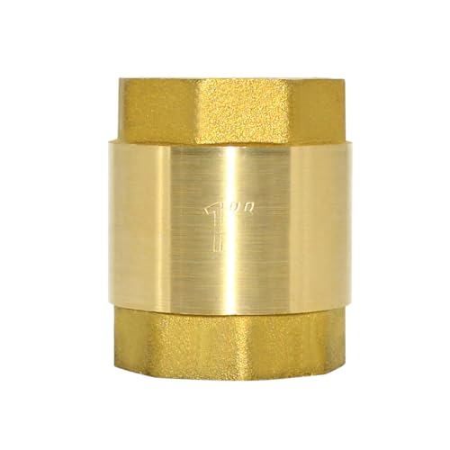 DAN SPEED Brass Check Valve,Female Thread Spring Check Valve,One Way Horizontal Check Valves for Backflow Prevention,Well, Pump, Tank ((DN25) 1'')
