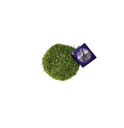 SuperMoss (21769) Moss Balls – Preserved Decorative Moss Balls for Home Décor, Vase Fillers, Centerpieces, Terrarium & Wedding Décor, Natural Green Moss Décor Balls, 2" (9 pack), Fresh Green - color: Fresh Green, size: 2" (9 Pack)