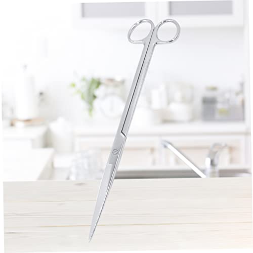 minkissy Stainless Steel Aquarium Scissors Mirror Polished Long Handle Plant Trimming Tool for Freshwater and Saltwater Aquascaping Ergonomic Design for Comfortable Use