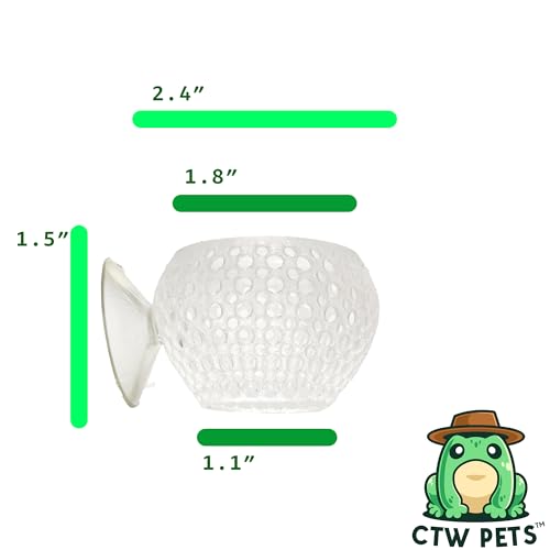 CTWPets Natural Betta Bulb Hide | Betta Rest Fish Tank Ornament | Aquarium Cave with Suction Cup for Small Fish Tank, Betta Habitat, Shrimp Hideout, Aquatic Decor (Transparent) - color: Transparent