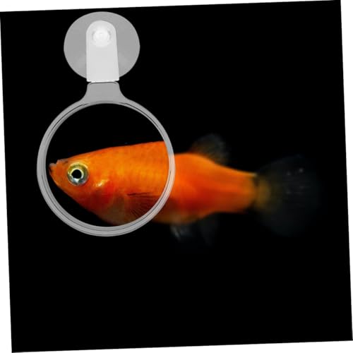 FRCOLOR 4pcs Acrylic Glass with Cup for Fish Tank User-Friendly Lens for Viewing Betta Fish -Landscapes Ants Spiders Easy Installation Excellent Magnification