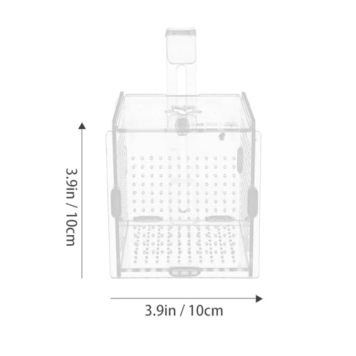 BESPORTBLE 1set Acrylic Fish Isolation Box for Aquariums with Cups and Breeding Box for Newborn Fish Transparent Cover Prevents Escape and Design