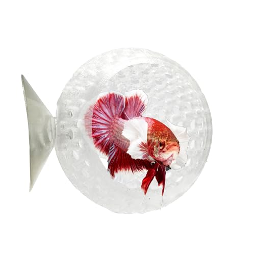 CTWPets Natural Betta Bulb Hide | Betta Rest Fish Tank Ornament | Aquarium Cave with Suction Cup for Small Fish Tank, Betta Habitat, Shrimp Hideout, Aquatic Decor (Transparent) - color: Transparent