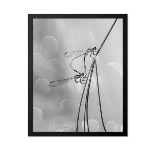 Monem Art Two Damselflies Mating Print - The Love Poster - Animal Art - Monochrome Office, Living Room or Office Decor - 16x20 Unframed Wall Art by Andi Halil - color: Style-01, size: 16"L x 20"W