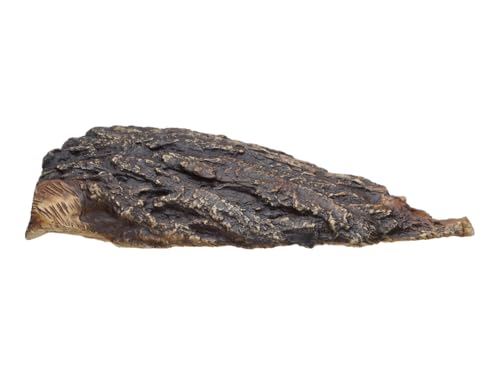 Plecoceramics Aquarium Cave - Ceramic Betta Fish Tank Decor - Natural Aquarium Decor - Large Reptile Hide - Fish cave Hideout - Snake Hide - Cave for Cichlids and plecos (Cave)