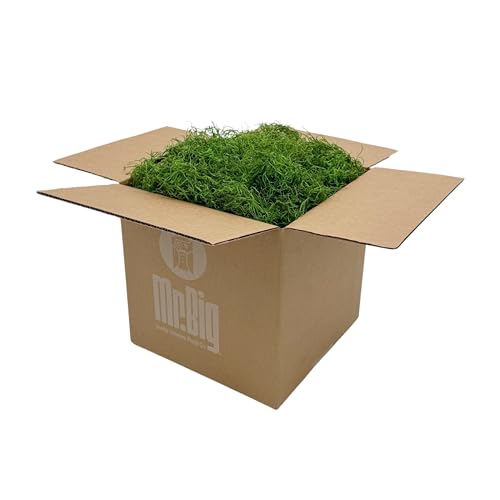 Preserved Spanish Moss - Decorative Moss - Dried Moss for Crafts, Home Decor, Art, Design & DIY Projects - for Indoor Use - Green Apple - Standard Box - Covers 10-12 sq. ft. - color: Green Apple, size: Large