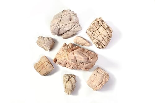 LANDEN Elephant Skin Stone Natural Multi-Texture Rocks (18lbs, 3~9 inches,7pcs) for Aquarium, Paludarium, Terrariums, Landscaping, Decorative of Caves, Waterfalls, Cliffs - size: 11 Elephant Skin Stone(3-9 inches,18lbs)