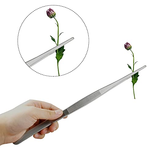 Stainless Steel Long Tweezers Tongs Kitchen Tweezer with Precision Serrated Tips Long Straight Tweezers for Cooking Cooking Tweezer for Sea Food Surgical BBQ (12 Inch)