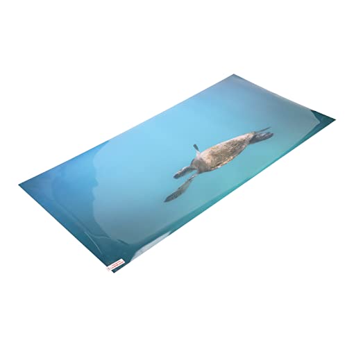 Aquarium Background Paper PVC Self Adhesive 3D Effect Fish Tank Decoration Poster, HD Lifelike Deep Sea Animal Design, Non Sticker for Freshwater (61 * 41CM) - size: 61*41CM