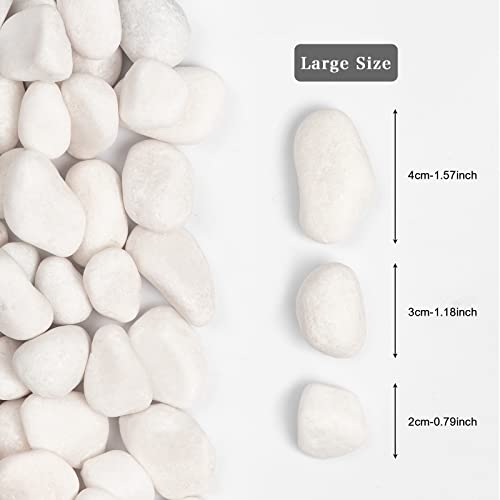 11lbs White Natural River Rocks, Polished Pebbles for Plants Garden, 1-2 inch Decorative White Stones, Ideal for Fish Tank, Vases, Crafting, Home Decor and Garden Landscaping Rocks,White - size: 11 Pounds, style: Snow White