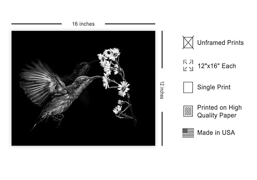 Monem Art Hummingbird & Cluster of Daisies Print - Motion Poster - Wildlife & Nature Art - Floral Living Room or Office Decor - 12x16 Unframed Wall Art by Andi Halil - color: Style-08, size: 12"L x 16"W