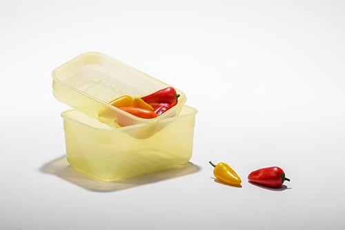 LocknLock Fresh-Block Plastic Food Storage Container | Produce Storage Containers for Fridge | Vegetable & Fruit Storage Containers for Fridge, Airtight Storage, Microwave & Dishwasher Safe, 3.2L - size: 3.2L