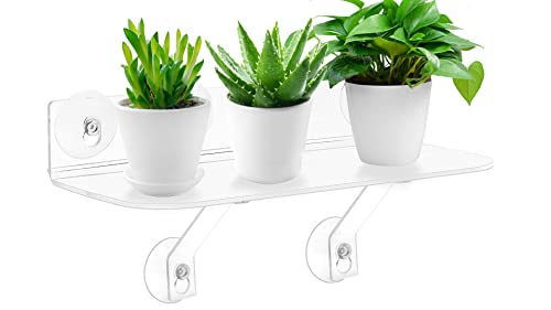 15 Inch Suction Cup Shelf for Plants Window, 6IN Extra Wide with Load-Bearing Brackets Window Shelf for Plants, Acrylic Sill Extender for Growing Herbs, Micro Vegetables, Succulents, Clear-1
