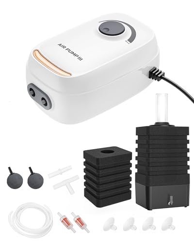 3W/6W Aquarium Air Pump, Adjustable Aquarium Aerator with 2-Outlet, Super-Powerful & Quiet Oxygen Pump for Fish Tanks up to 100/200 Gallon with Full Accessories.(Upgrade Noise-Reduce) - style: AR-10 NEW Pump+Sponge Filter-L