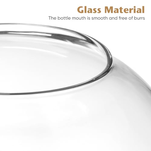 Yardwe Glass Terrarium Jar with Stopper 5.90In Hydroponic Plant Container Miniature Garden Vase Clear Glass Terrarium for Home Office Decoration