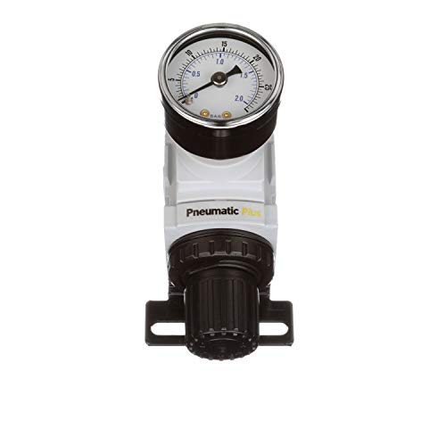 PneumaticPlus PPR2-N02BG-2 Miniature Air Pressure Regulator 1/4" NPT - Gauge, Bracket, Instrument Pressure (3-30 PSI) - size: 1/4" NPT (3-30 PSI)
