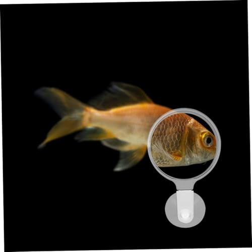 FRCOLOR 4pcs Fish Tank Glass with Cup for Clear Observation of Betta Fish Plants and Animals Acrylic Viewer Lens for Easy Installation
