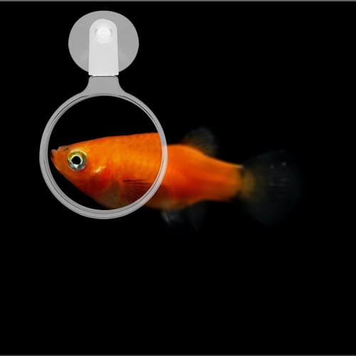 Sosoport Aquarium Magnifier Fish Tank Suction Magnifying Glass 2X Magnification Coral Viewing Glasses