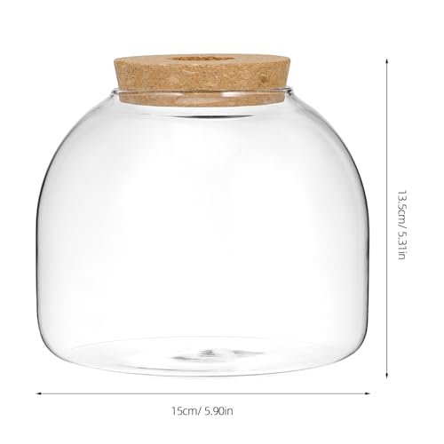 Yardwe Glass Terrarium Jar with Stopper 5.90In Hydroponic Plant Container Miniature Garden Vase Clear Glass Terrarium for Home Office Decoration